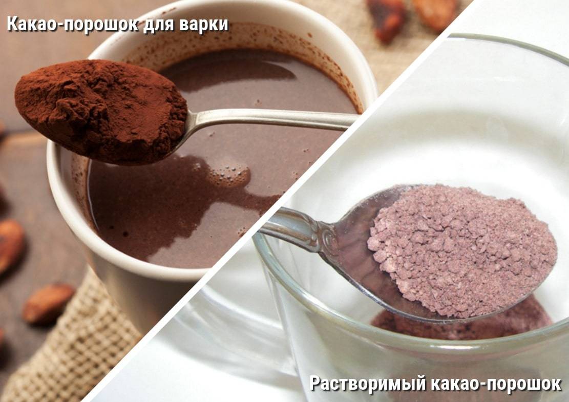 Какао тертое и какао-порошок: отличия, польза и вред, как использовать