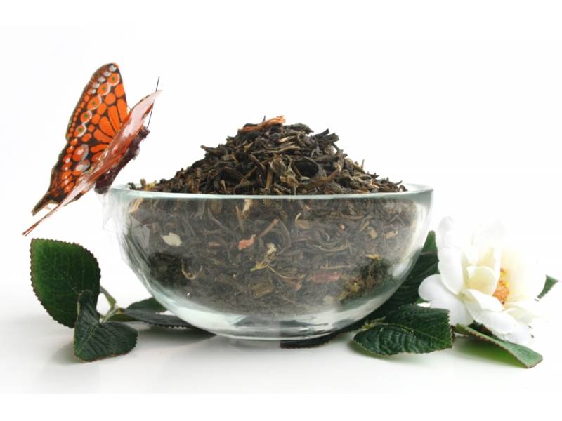Чай с жасмином???? польза и вред, 12 полезных свойств жасмина