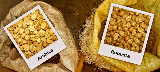 Виды кофе в Италии и как приготовить кофе по-итальянски дома