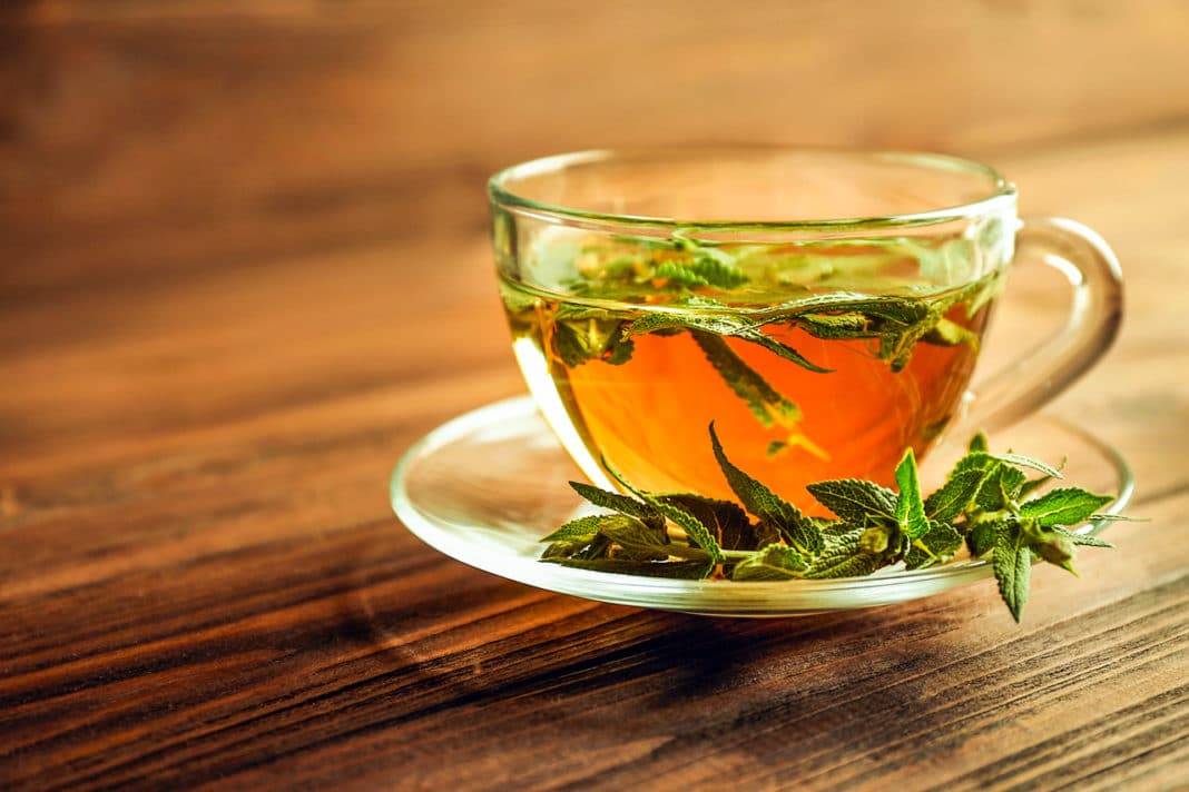 Для чего в правильном питании используется чай из шалфея
