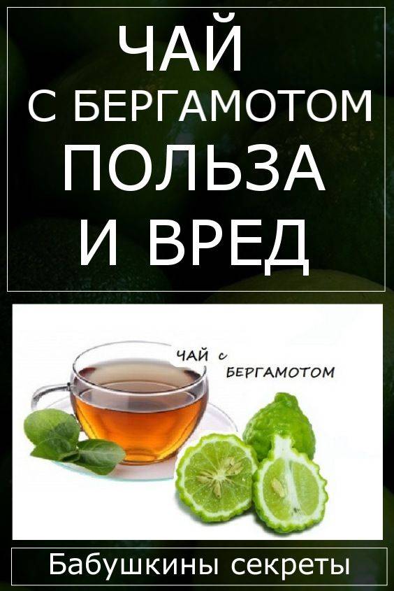 Польза и вред бергамота, чем полезен чай с бергамотом, как применять масло бергамота, свойства бергамота - на sportobzor.ru