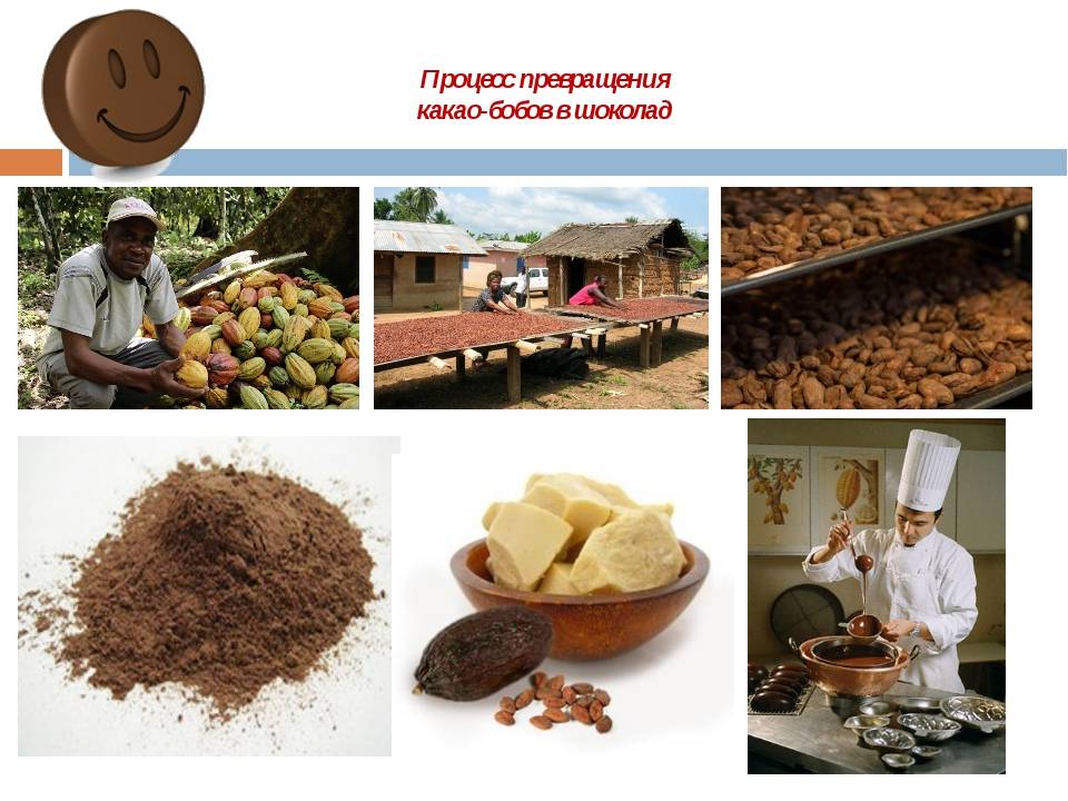Тертое какао (20 фото): что это такое и как использовать, состав по госту, польза