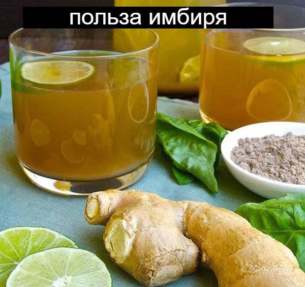 Зеленый чай с имбирем для похудения. имбирь и зеленый чай для похудения | здоровье человека