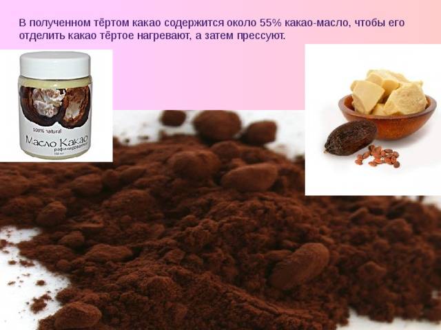 Какао-порошок: польза и вред для здоровья