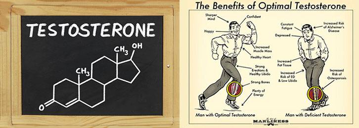 Гормон тестостерон: как повысить у мужчин и женщин
