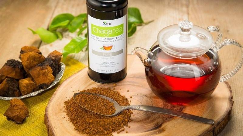 Чай из чаги, полезные свойства и противопоказания