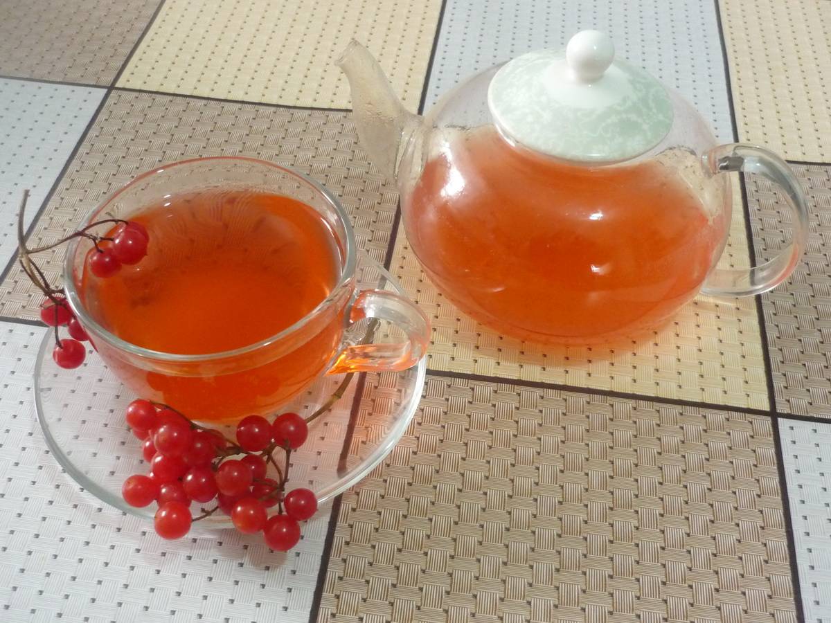 Чай с калиной - полезные свойства, рецепты, при беременности