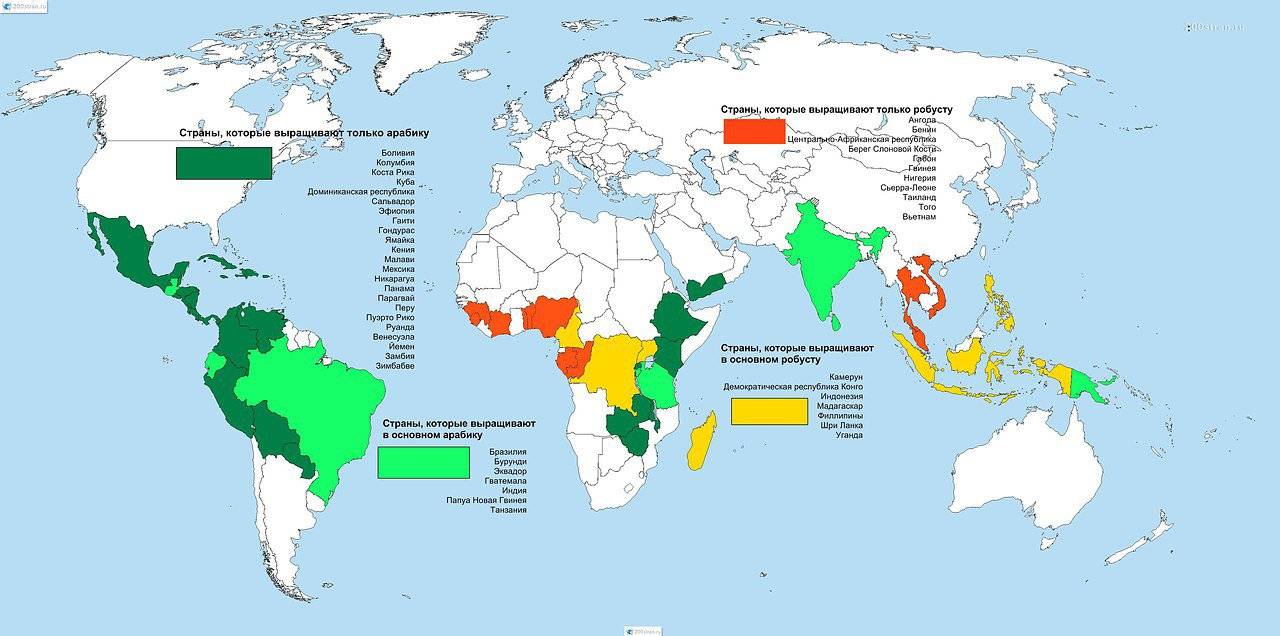Район какая страна. Страны выращивающие кофе. Где растет кофе карта. Карта распространения кофе. Кофейные плантации на карте.