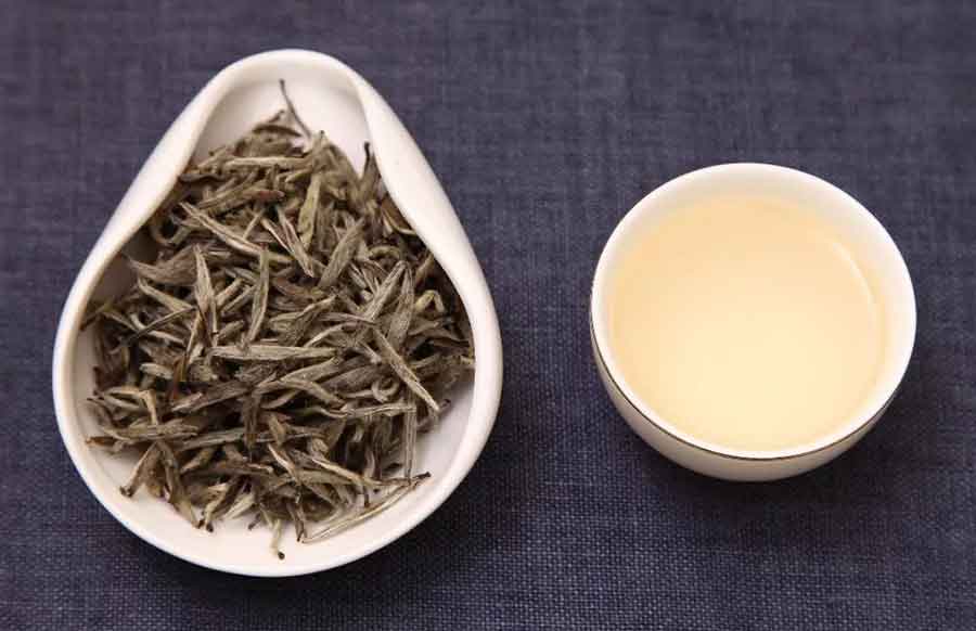 Чай из сосновых шишек: рецепты, польза и противопоказания, как заваривать хвойный напиток
