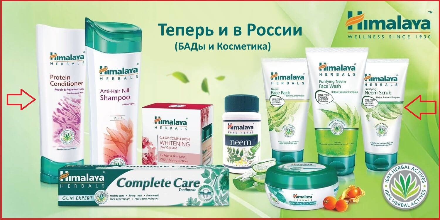 Фенхелевый чай: что это, чем полезен и чем может быть вреден