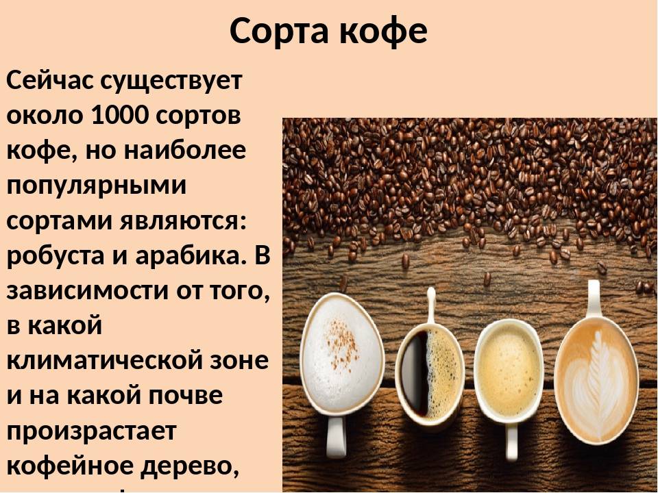 Растет ли кофе в греции. греческий холодный кофе. традиционный греческий кофе