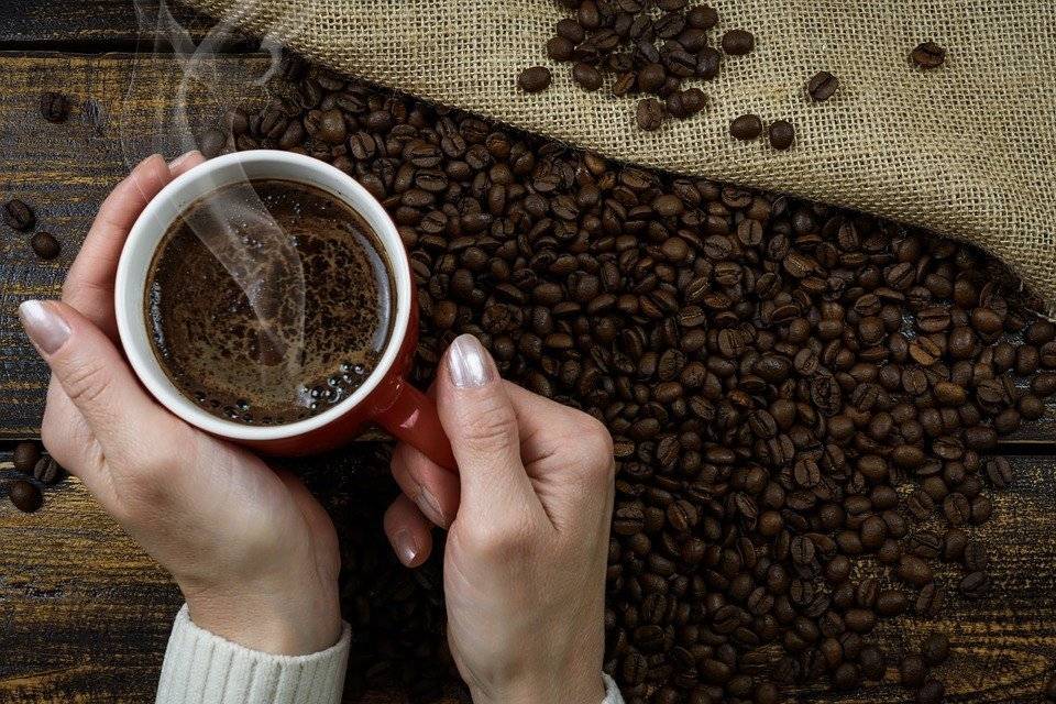 Применение кофейной гущи (жмыха, спитого кофе) для удобрения