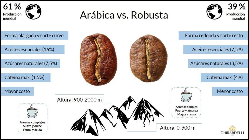 Кофе робуста: разновидности сорта, отличие от арабики