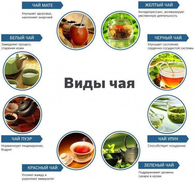 Как можно похудеть от зеленого чая правильно