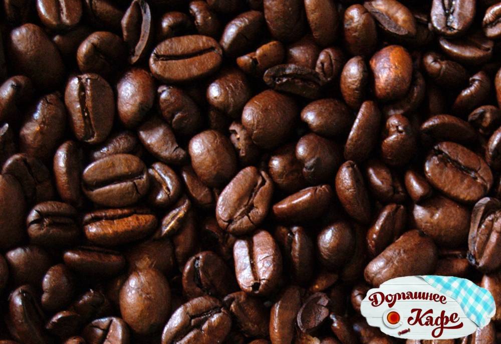 Сорт кофе марагоджип – классификация и способ приготовления