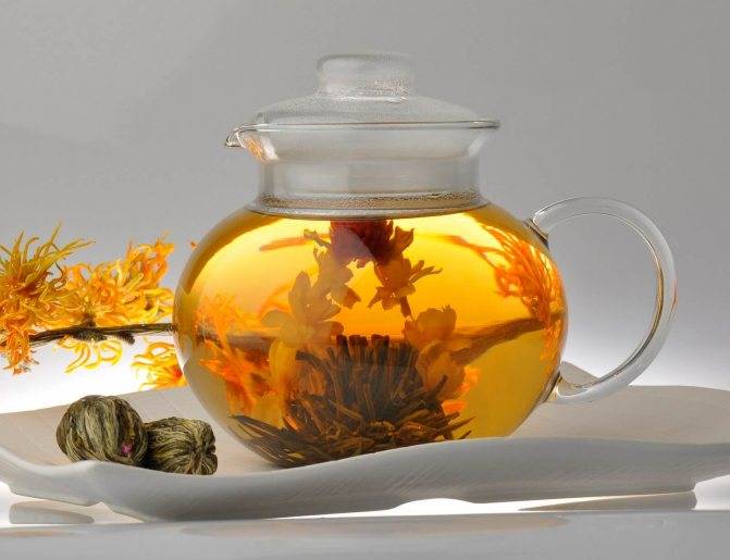 Полезные свойства чая с жасмином и его вред