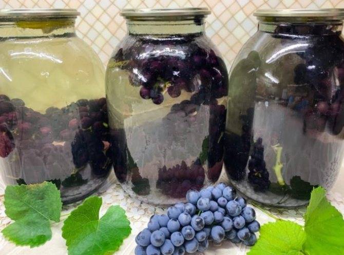 Простой рецепт компота из винограда на зиму - 6 пошаговых фото в рецепте