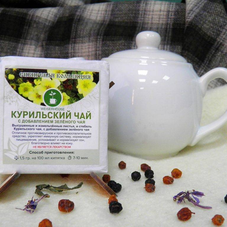 Курильский чай: полезные свойства и противопоказания, отзывы + фото