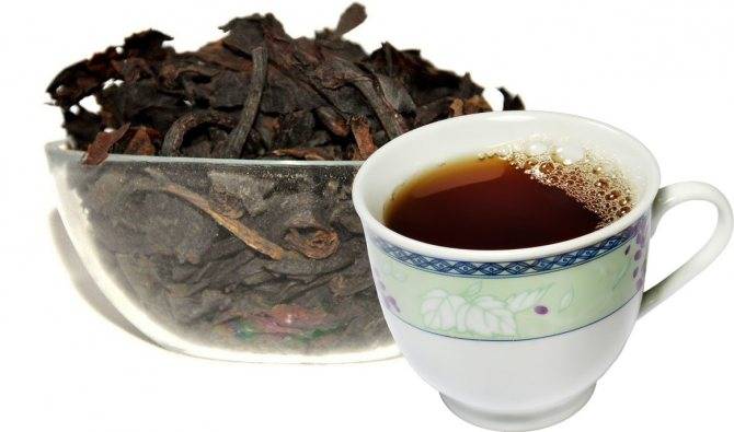 Бадан лечебные свойства, польза и вред чая, исследования