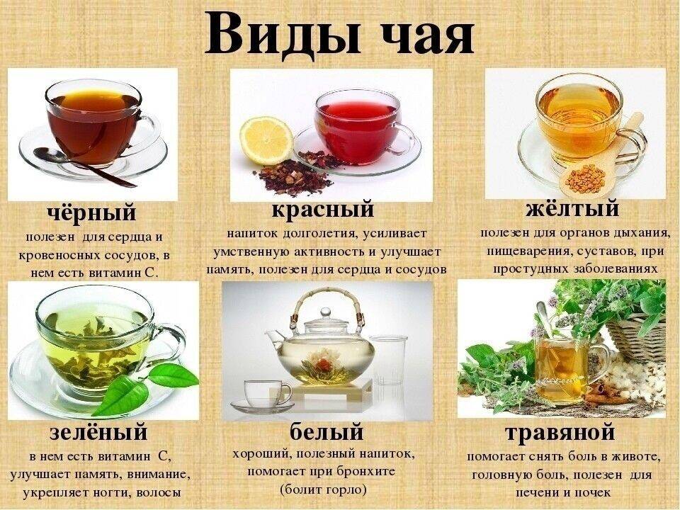 8 рецептов целебного чая при простуде