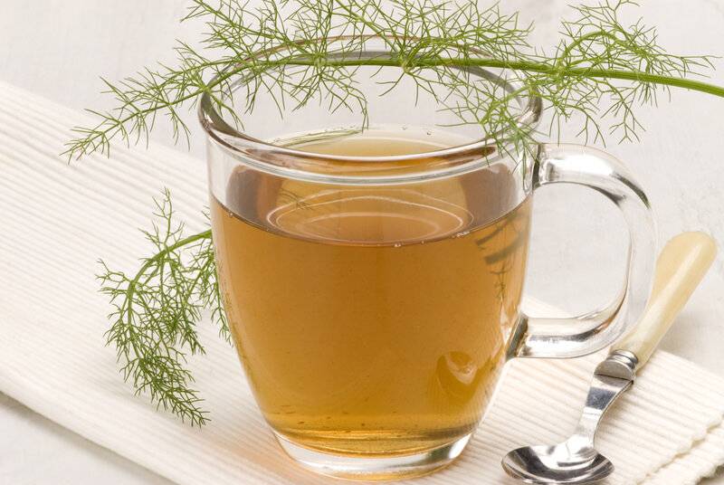 Чай с фенхелем: полезные свойства и противопоказания, правила сбора, рецепты приготовления