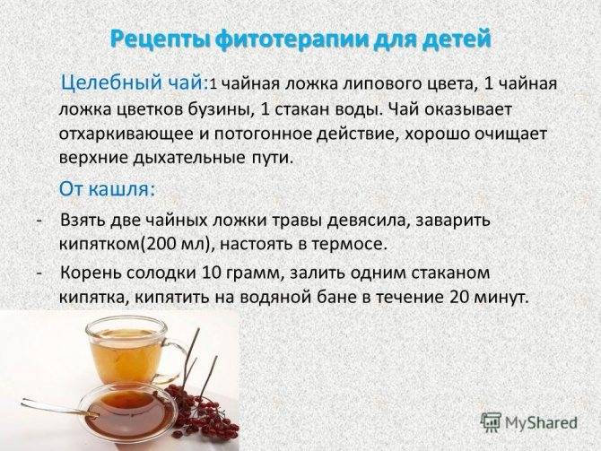 Калмыцкий чай: польза, вред, приготовление