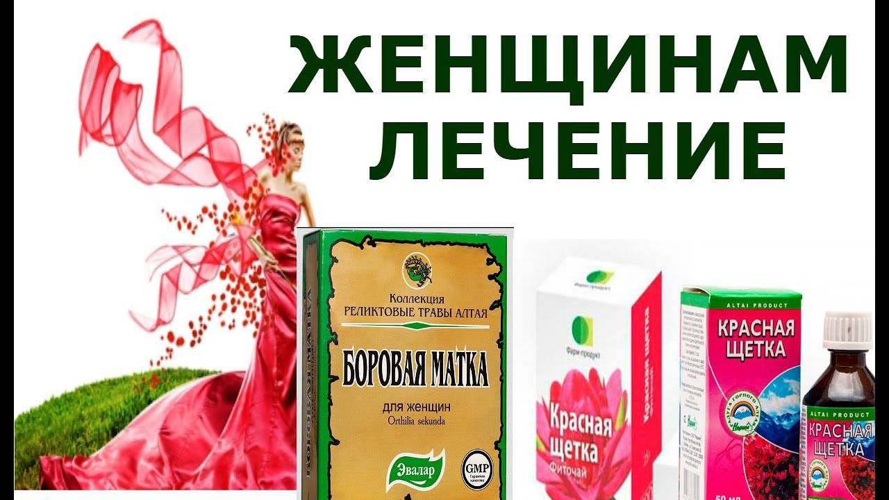 Боровая матка для женщин и мужчин