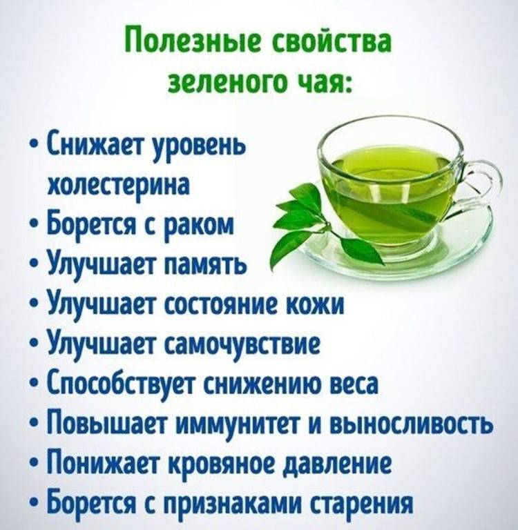 6 целебных свойств зеленого чая для мужчин, его польза и вред