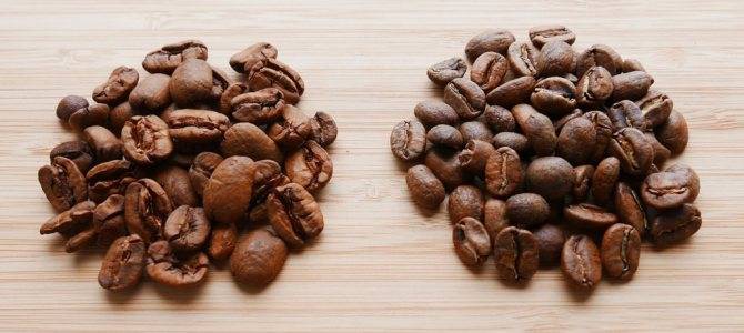 Кофе марагоджип: какой у него вкус, сорта и виды, описание