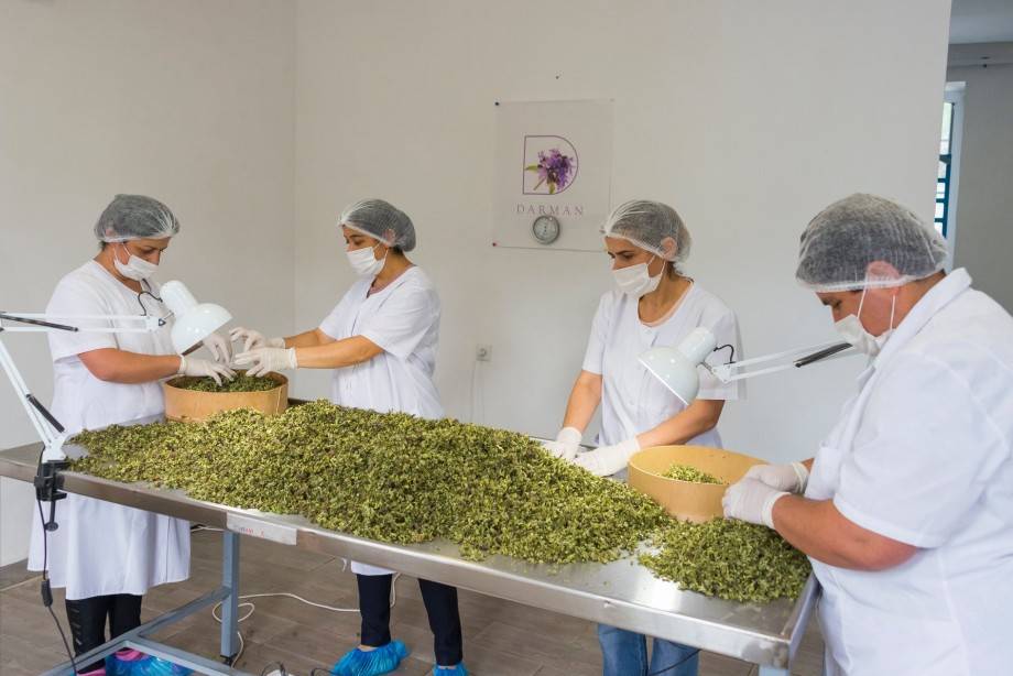 Карпатский сбор трав