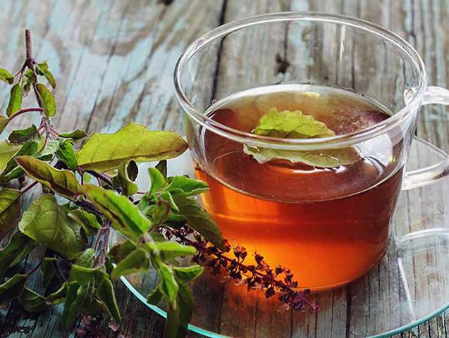 Чай с базиликом: чем полезен и чем вреден. лечебные свойства чая с базиликом