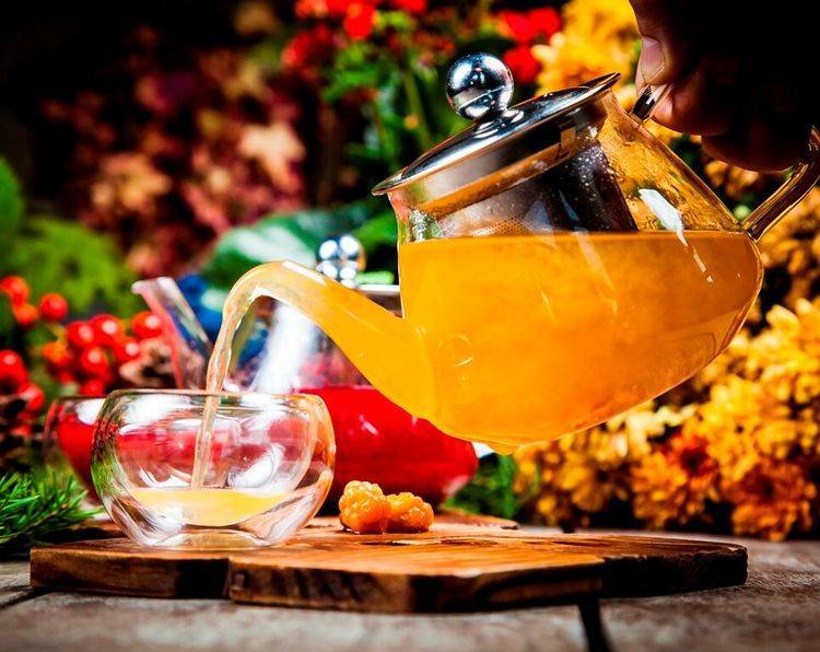 Облепиховый чай: лучшие рецепты приготовления полезного чая