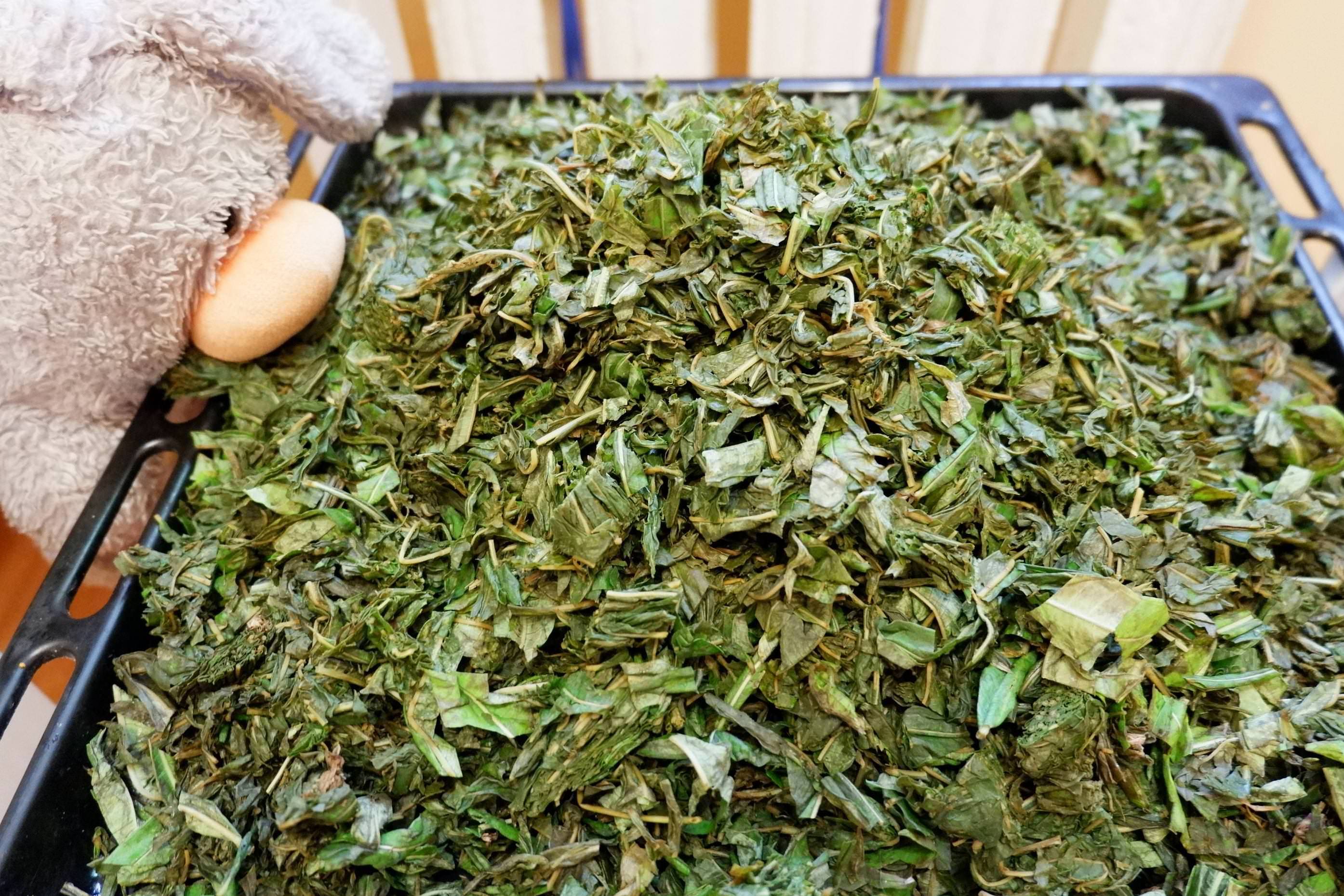 Ферментация листьев смородины и малины, как приготовить ферментированный чай
