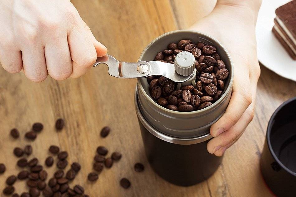 Кофемолка для сахарной пудры и других продуктов – семечек, круп, орехов. какая лучше, советы по выбору