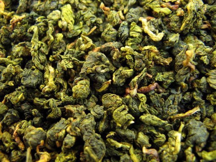 Зеленый чай молочный улун: польза и вред