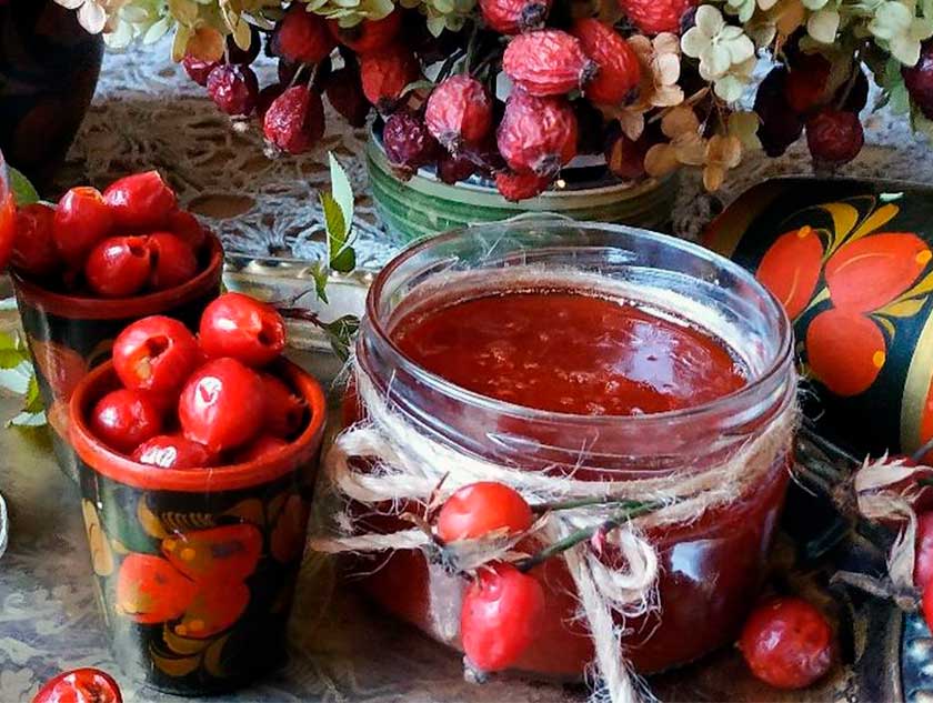 Как правильно сушить шиповник, чтобы сохранить все его свойства