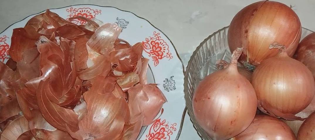 Польза и вред чая из луковой шелухи и как ее заваривать