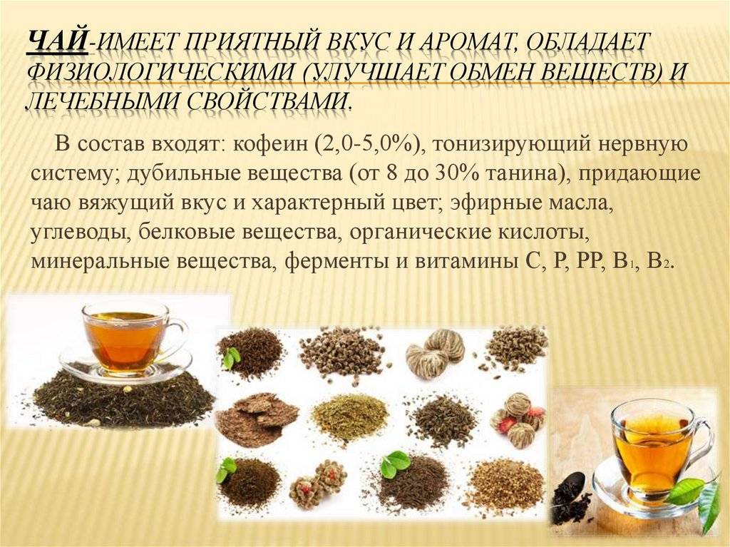 Чай: полезные свойства, виды, особенности заваривания