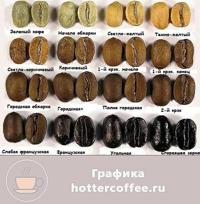 Обжарка кофе и ее виды