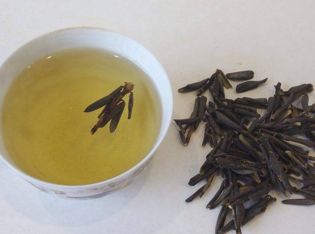 8 лечебных свойств бурятского чая Саган Дайля