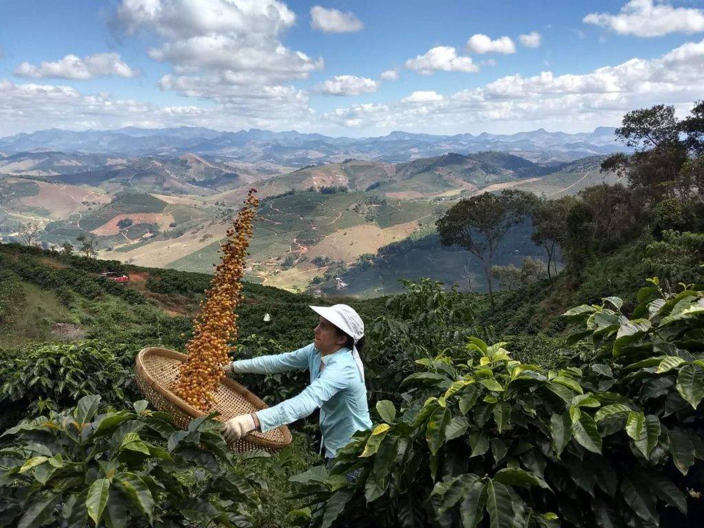 Как выбрать степень помола кофе для турки, эспрессо и других методов заваривания