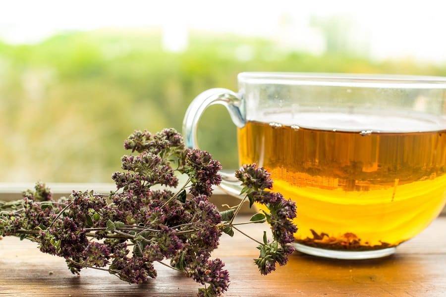 Чай с душицей: польза и вред, как правильно заварить