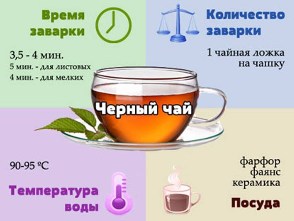 Зеленый чай – лучший из напитков. как выбрать и заварить? отзыв