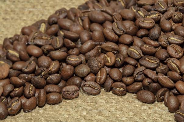 Чем отличается кофе из разных стран мира, и почему он разный?