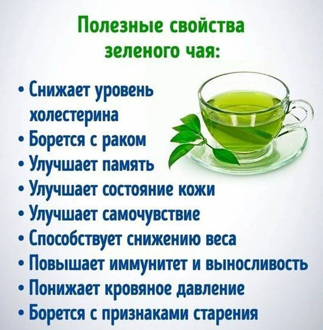 Зеленый чай повышает или понижает давление холодный или горячий. о полезных свойствах зелёного чая