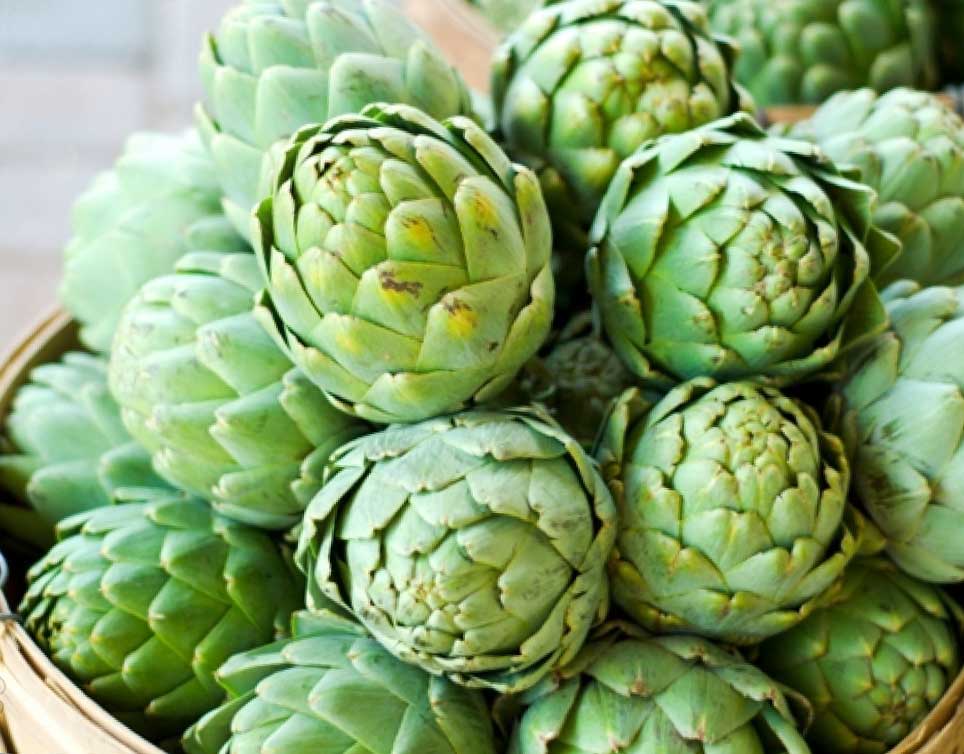 Как заваривать чай Нони – напиток из тропического фрукта