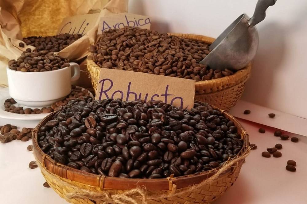 20 стран-лидеров среди мировых производителей кофе: от бразилии до зимбабве (и италии тут нет)