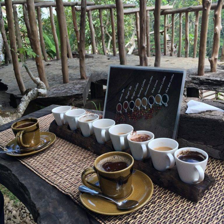 Индонезийский кофе: особенности, регионы, виды и сорта