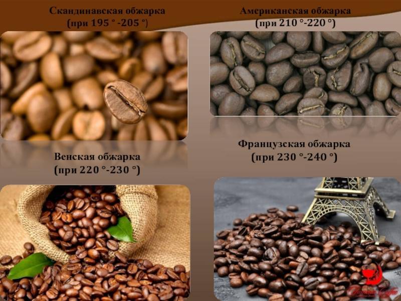 Обжарка кофе: виды, степень обжарки и влияние на вкус кофе
