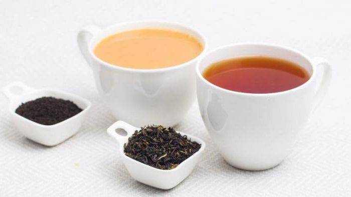 6 видов индийского чая Ассам, которые зарядят бодростью с самого утра